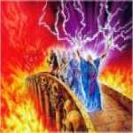 thumb_585 (Medium).jpg